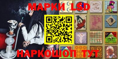 прущие крисы Шелехов