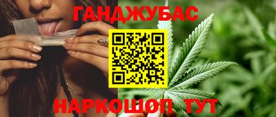 прущие крисы Шелехов