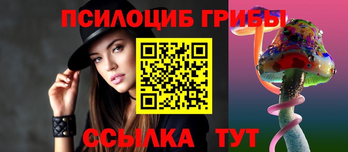 Галлюциногенные грибы Psilocybe Гусев