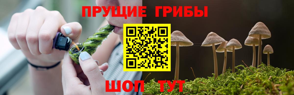 Псилоцибиновые грибы Cubensis  Вход с VPN  цена   Гусев 